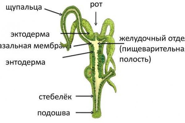 Кракен 17 вход