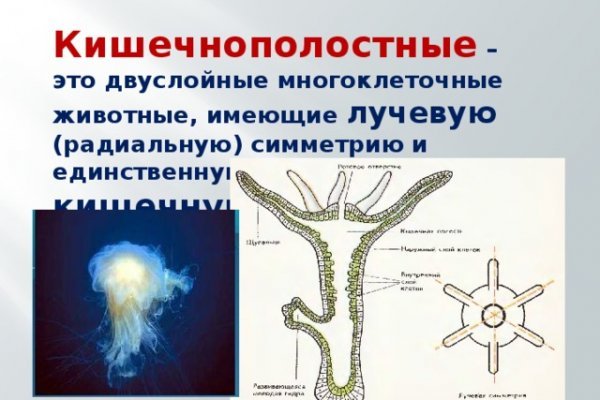 Как зайти в кракен