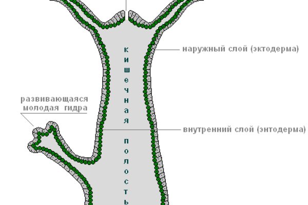 Кракен даркшоп