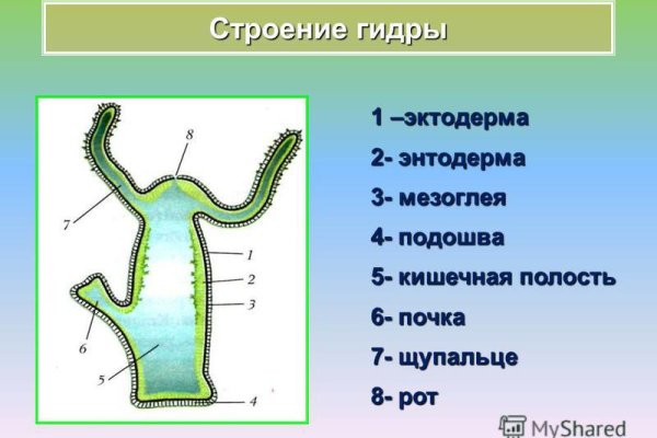 Кракен вывод средств